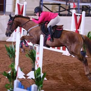 Meet your Posher, Jordan